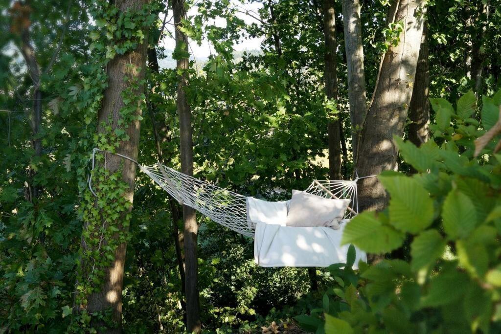 Wohnung Am Fusse Des Schwarzwalds Oberkirch  Exteriör bild