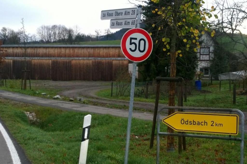 Wohnung Am Fusse Des Schwarzwalds Oberkirch  Exteriör bild