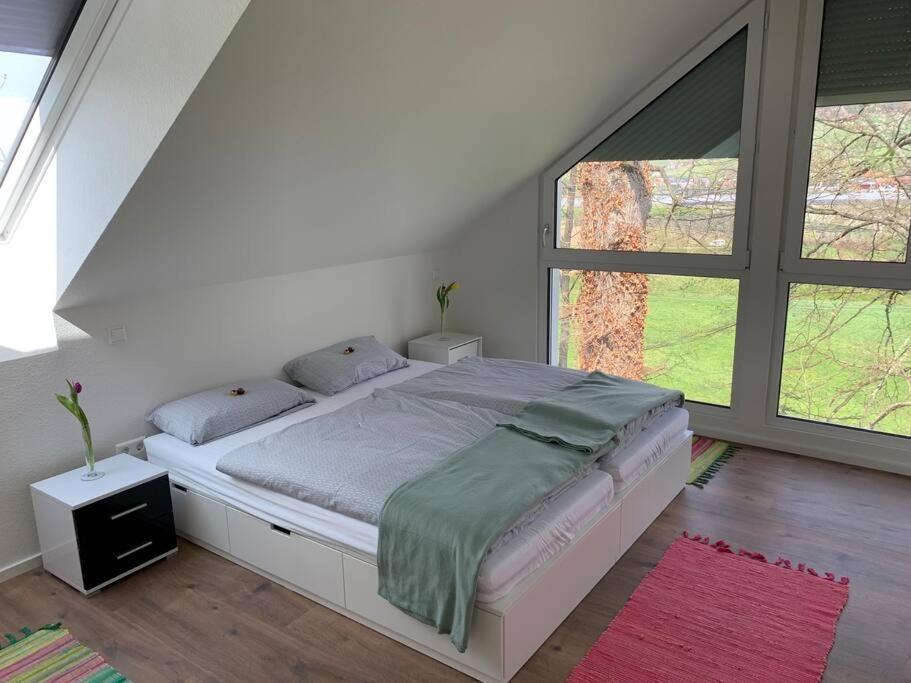 Wohnung Am Fusse Des Schwarzwalds Oberkirch  Exteriör bild